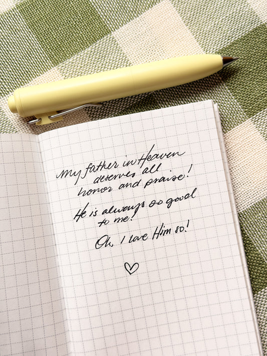 Berry Sweet Pocket Notebook