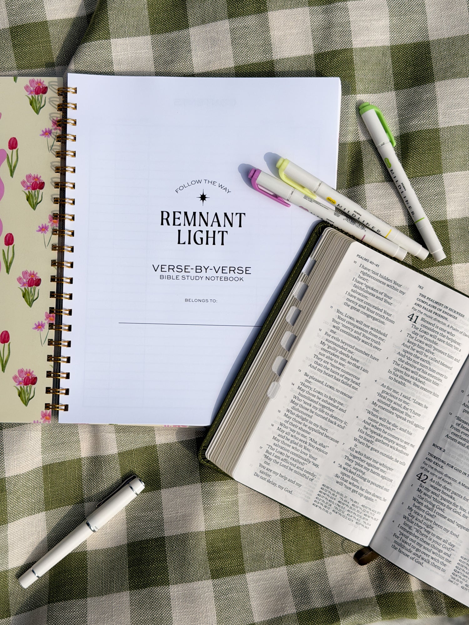 Notebook titled 'Remnant Light' on a checkered tablecloth with an open book and pens.