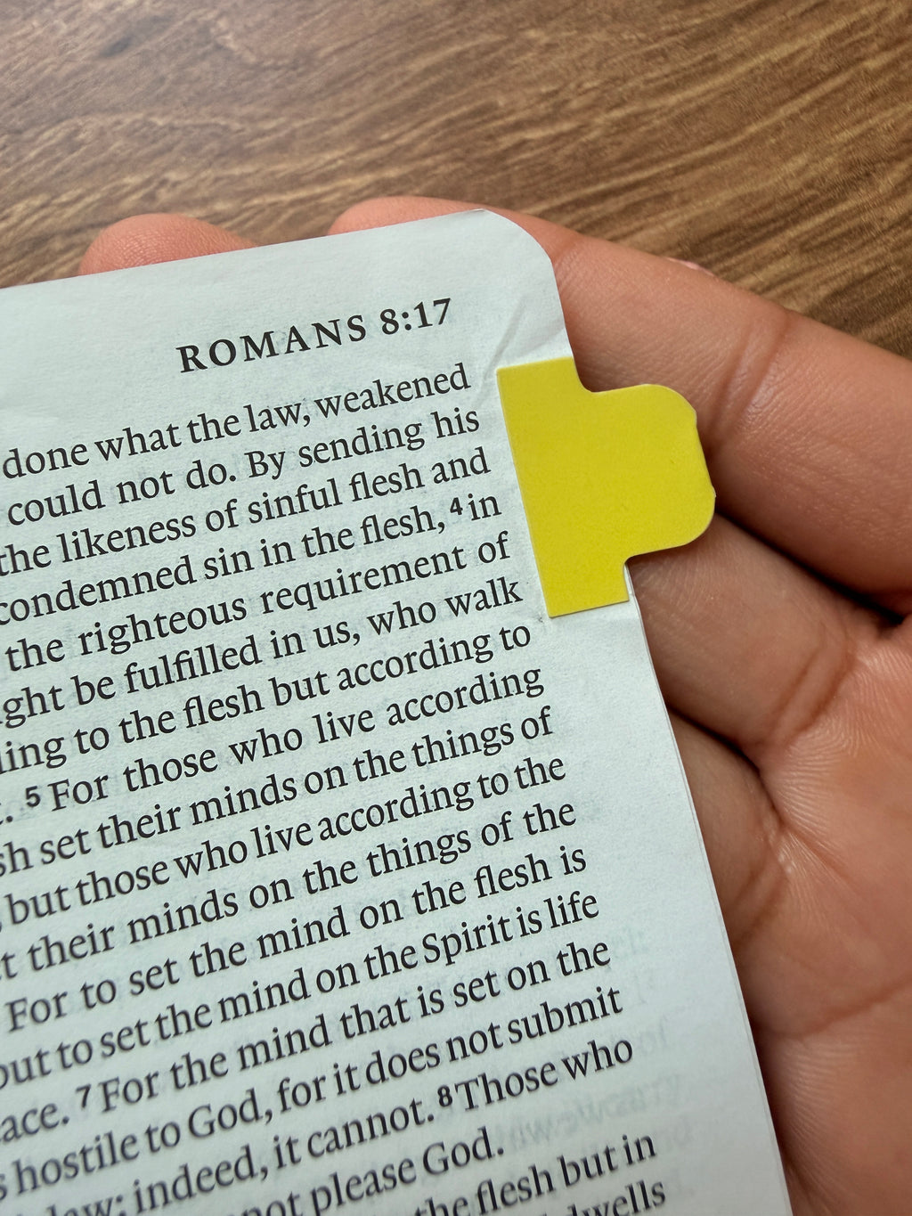 Mini Bible Tabs - Vibrant Colors